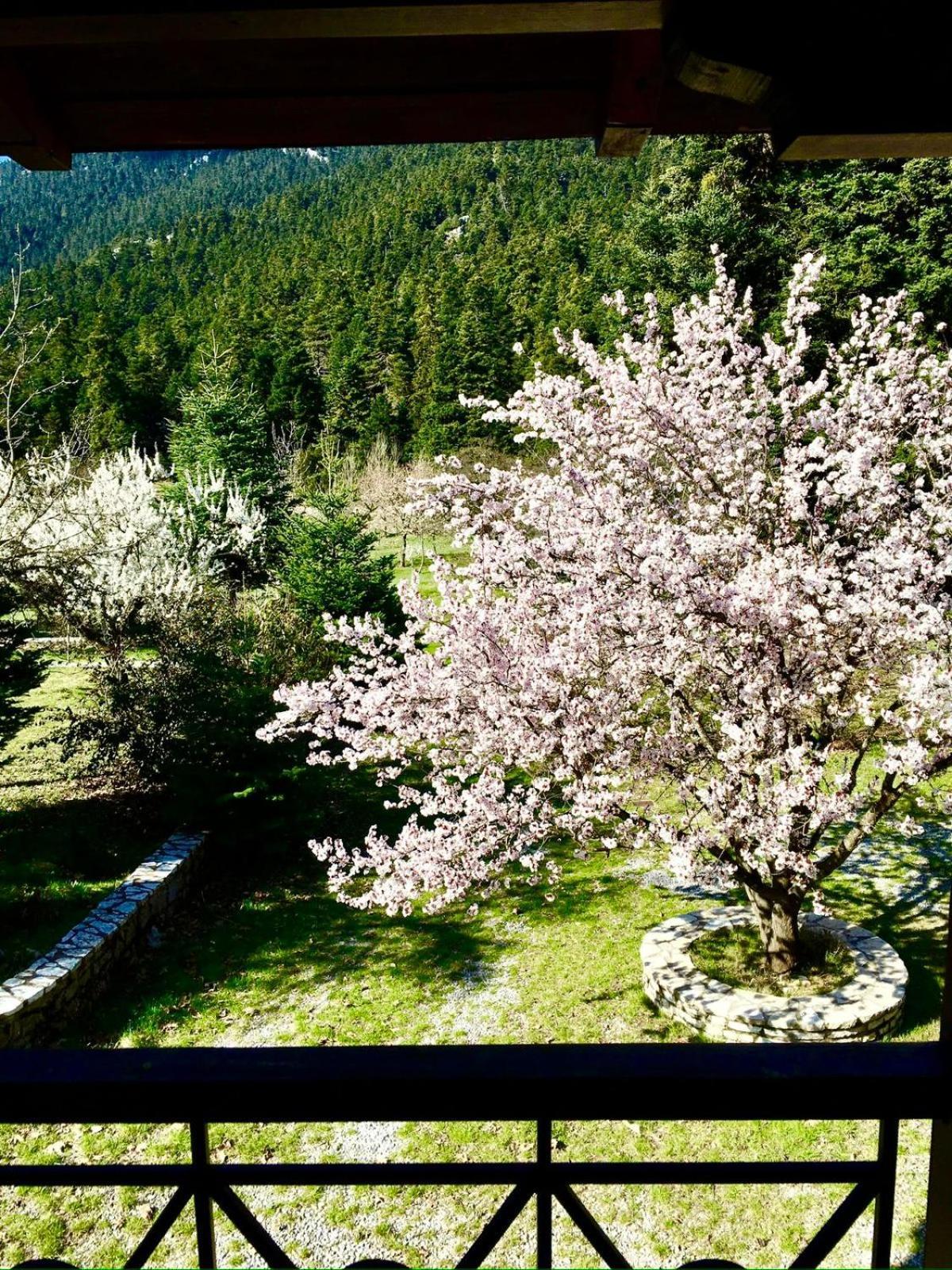 Alpine Escape Maisonette By Ski Alure Arachova Exterior foto